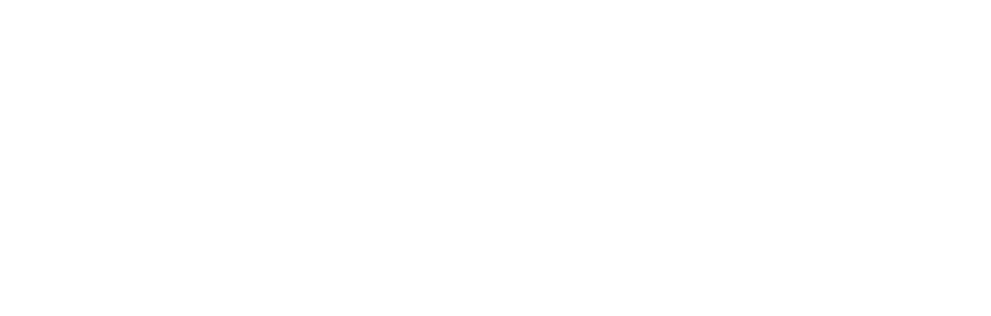 Meridian Scholars Programme